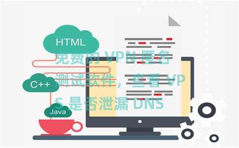 免费的 VPN 匿名测试软件，查看 VPS 是否泄漏 DNS
